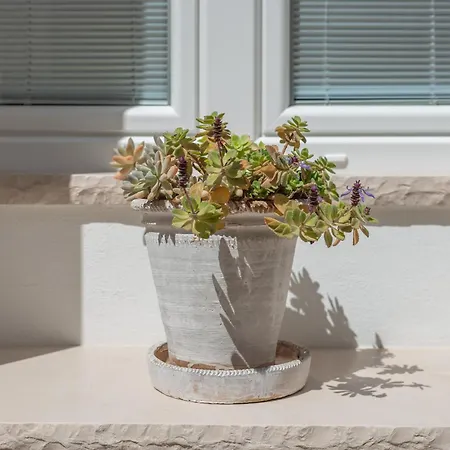 Mandorleolio Versomare Дом отдыха *