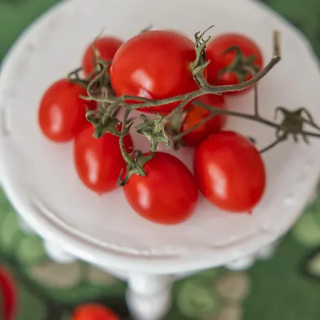 Сasa de vacaciones Mandorleolio Versomare Polignano a Mare